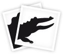 Alligator